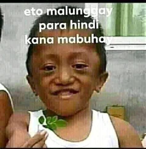 malunggay meme